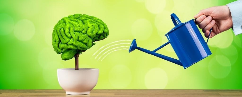Brain & Memory