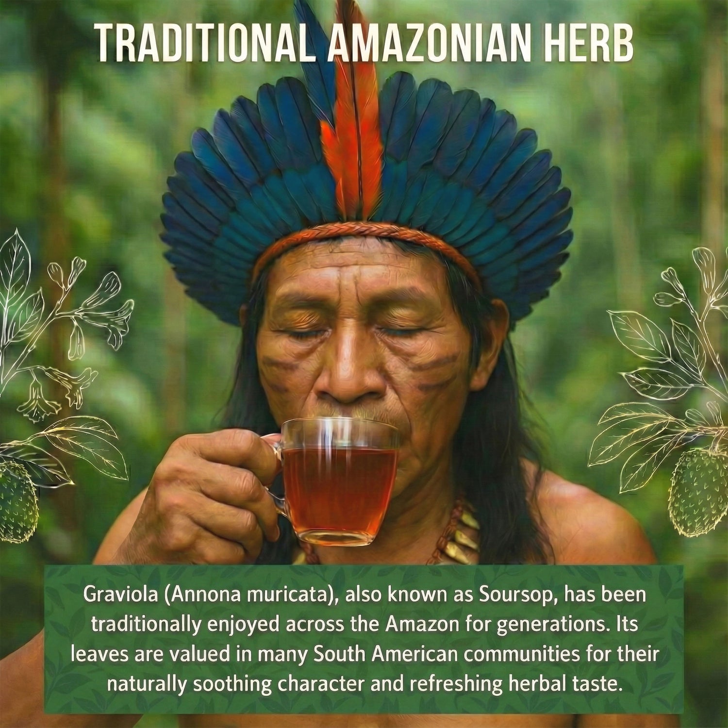 Rio Amazon Graviola Leaf Tea Infusion prepared herbal beverage 40 teabags
