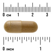 Swanson Turmeric Astragalus Gotu Kola complex herbal supplement capsule bottle 60 capsule size