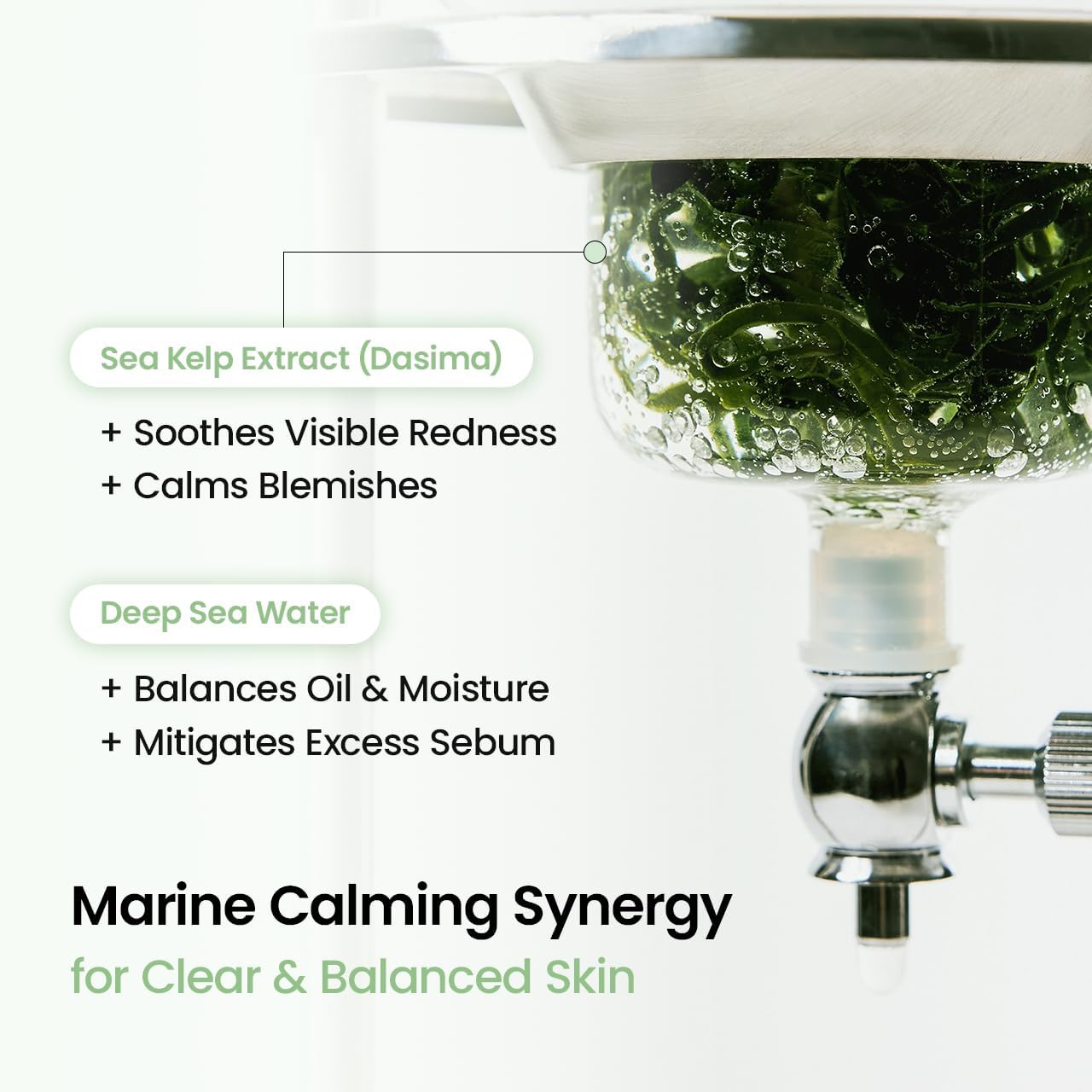 Biodance Refreshing Sea Kelp Hydrogel Face Mask 4 Sheets ingredients panel and skincare information