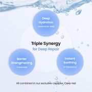 Biodance Hydro Cera-Nol Real Deep Hydrogel Face Mask ingredients and skincare formula for 4 sheet pack