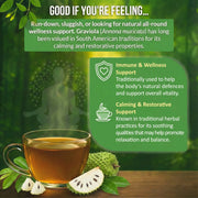 Rio Amazon Graviola Leaf Tea Infusion ingredient information herbal tea 40 teabags
