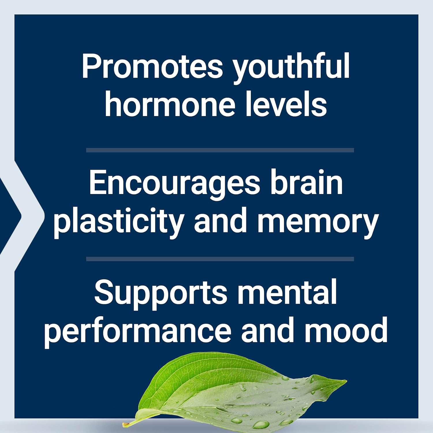 Life Extension Pregnenolone - 100mg Dietary Supplement for Wellness - 100 Capsules