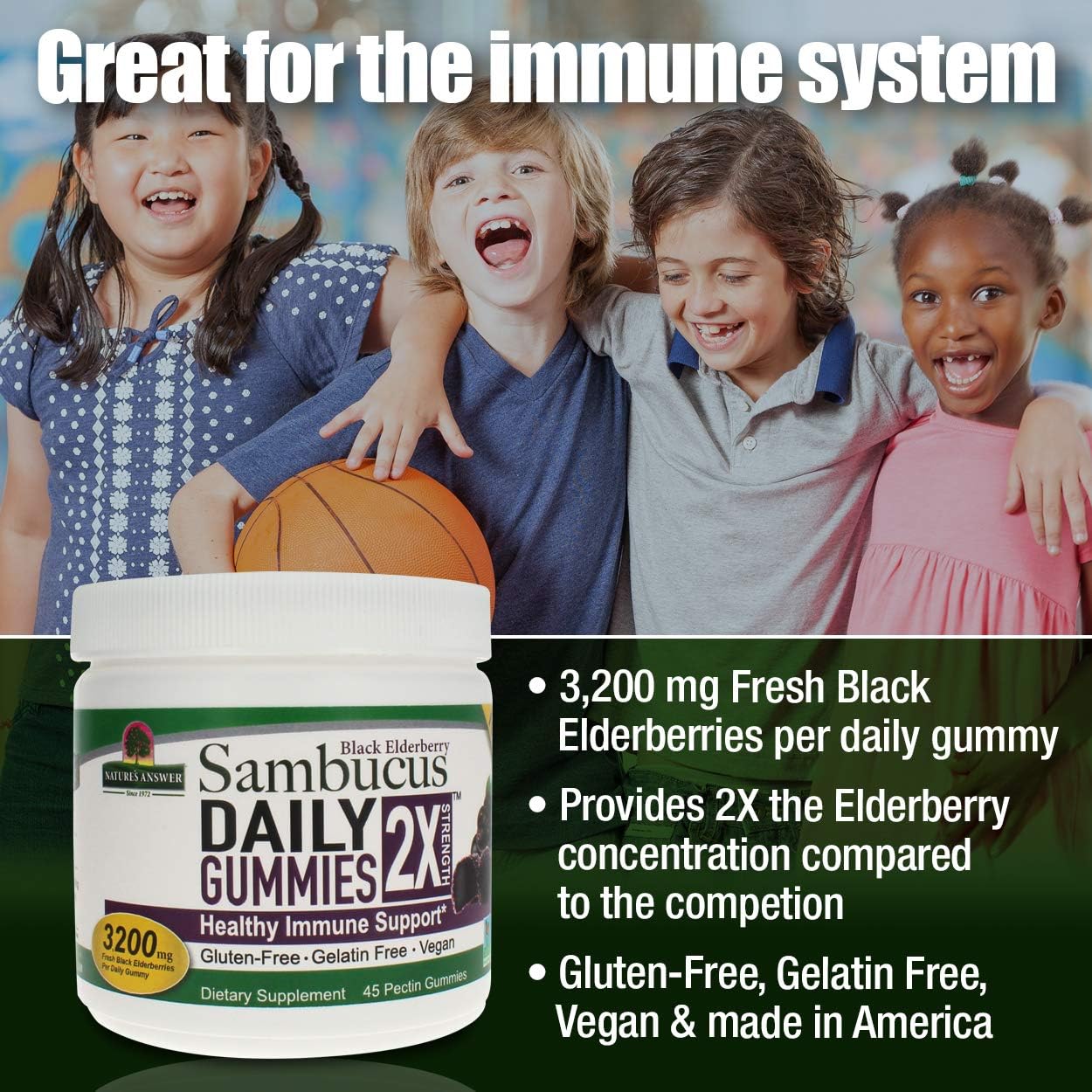 Nature’s Answer Sambucus Elderberry Daily Gummies – 45 Count