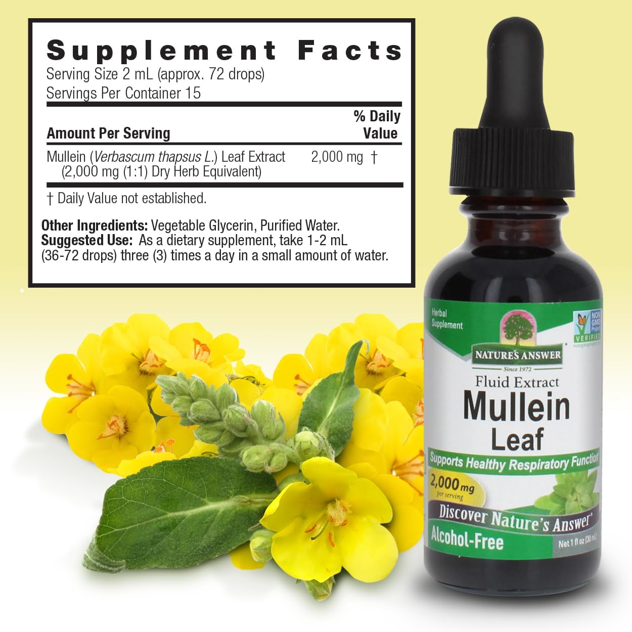 Nature’s Answer Mullein Leaf Extract alcohol-free liquid 30ml ingredients and directions