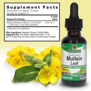 Nature’s Answer Mullein Leaf Extract alcohol-free liquid 30ml ingredients and directions