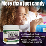 Nature’s Answer Sambucus Elderberry Daily Gummies – 45 Count