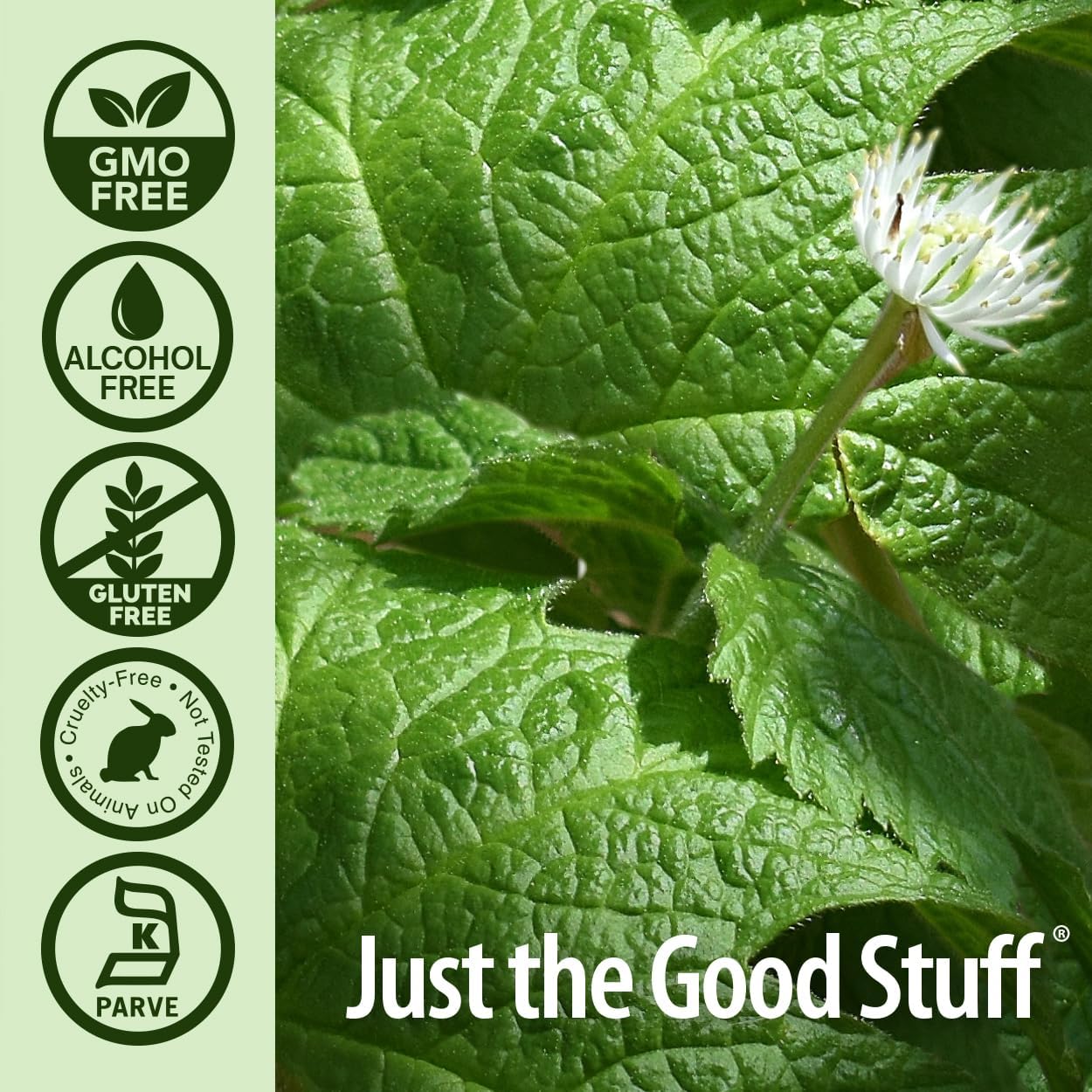 Nature’s Answer Goldenseal Root Liquid Low Alcohol - 30ml