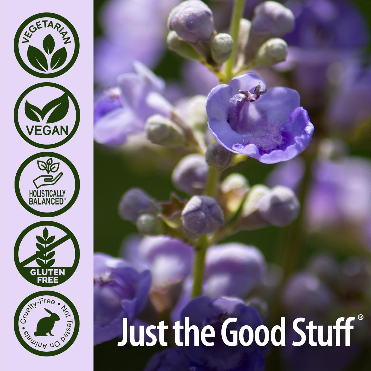 Nature’s Answer Vitex Agnus-Castus Herbal Capsules - 90 Count