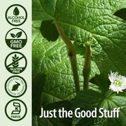 Nature's Answer Goldenseal Root Extract Alcohol-Free - 30ml