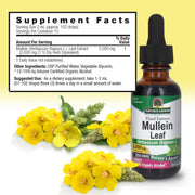 Nature’s Answer Mullein Leaf supplement facts low alcohol 60ml back label on a white background