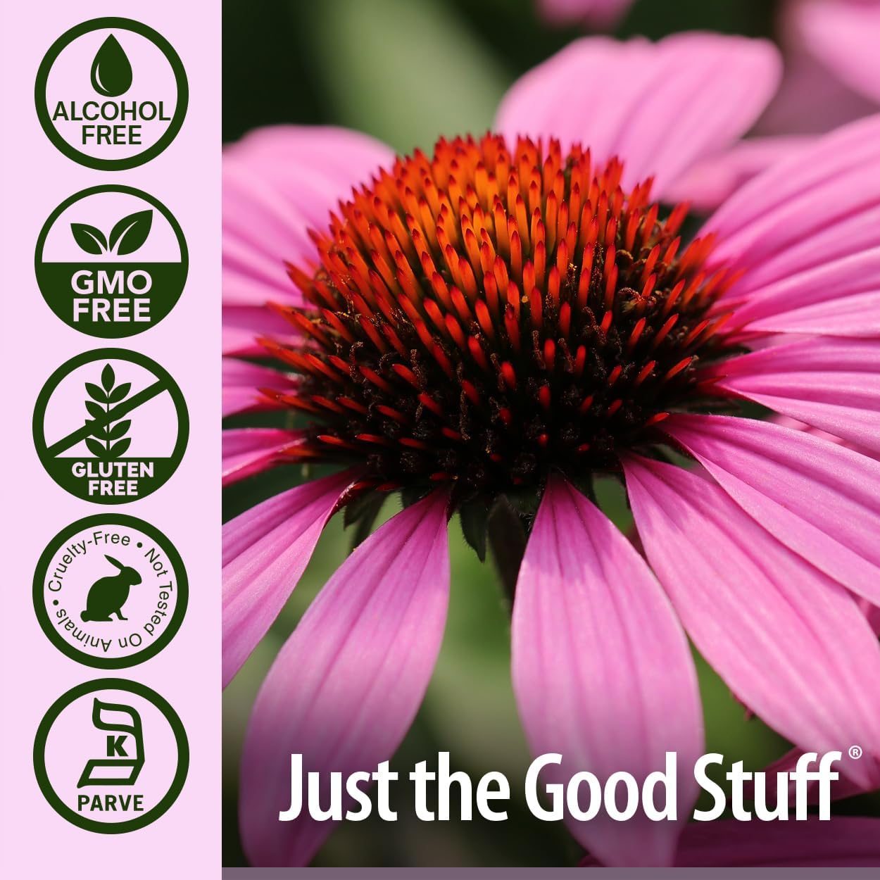 Nature’s Answer Echinacea Root Alcohol-Free Herbal Extract – 120ml