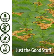 Nature’s Answer Slippery Elm Alcohol-Free Liquid Extract