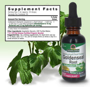 Nature’s Answer Goldenseal Root Liquid Extract 30ml supplement label and green leaves in the background