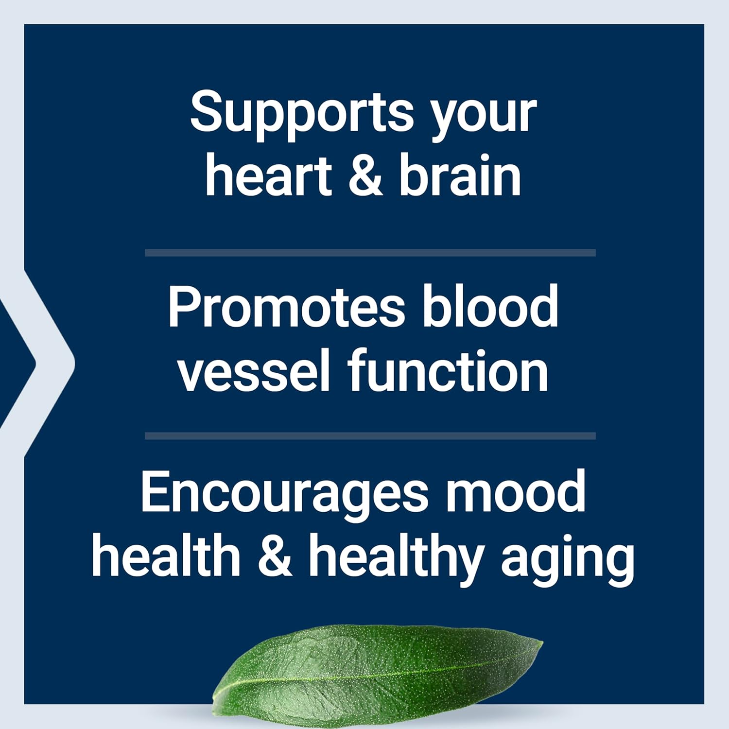 Life Extension Omega-3 Fish Oil 1200mg EPA DHA - Plus Olive & Sesame