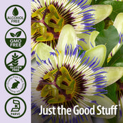 Nature’s Answer Passionflower Alcohol-Free Liquid Extract - 30ml