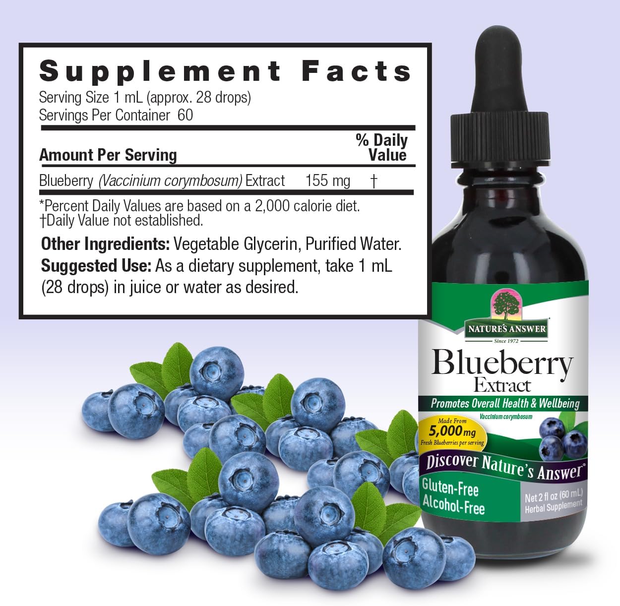 Nature's Answer Blueberry Fruit Extract 60ml supplement facts and directions