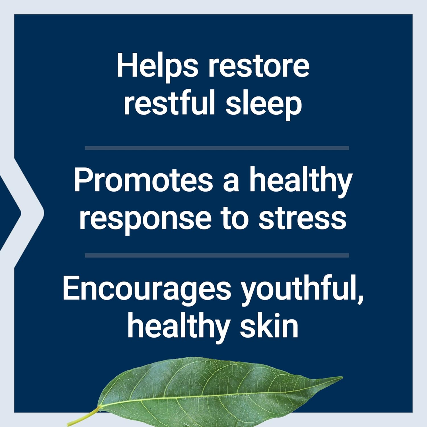 Life Extension Ashwagandha & Amla Relaxation Blend - Milk Peptides
