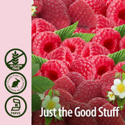 Nature's Answer Raspberry Liquid Extract Alcohol-Free - 30ml