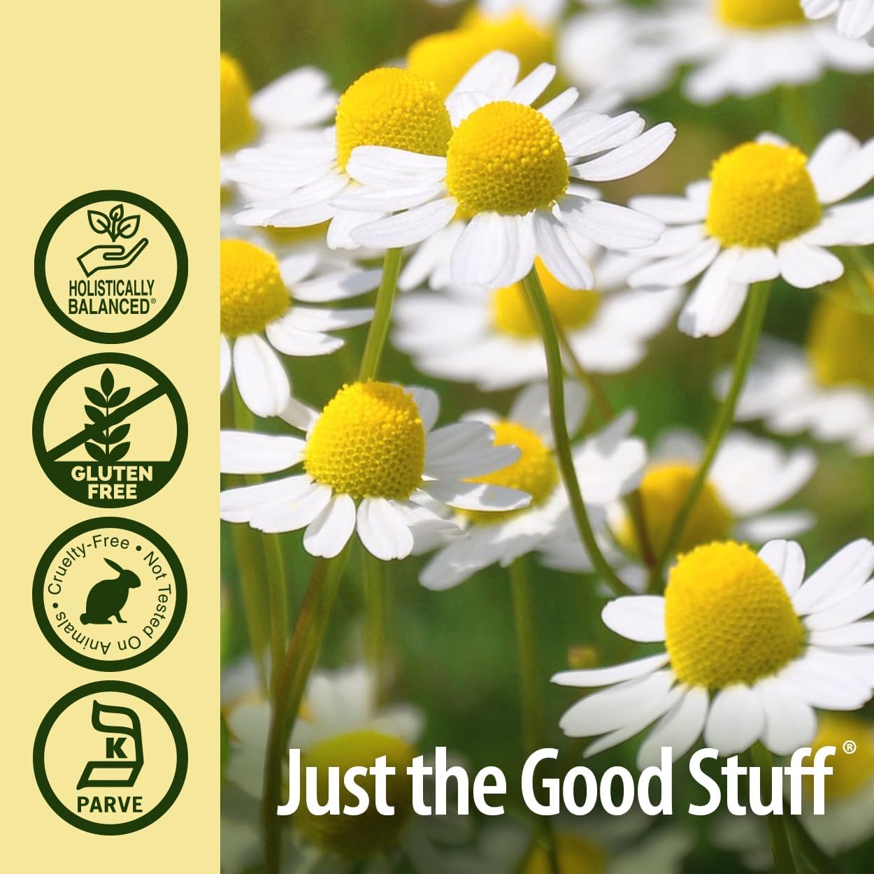 Nature’s Answer Chamomile Alcohol-Free Liquid Extract - 30ml