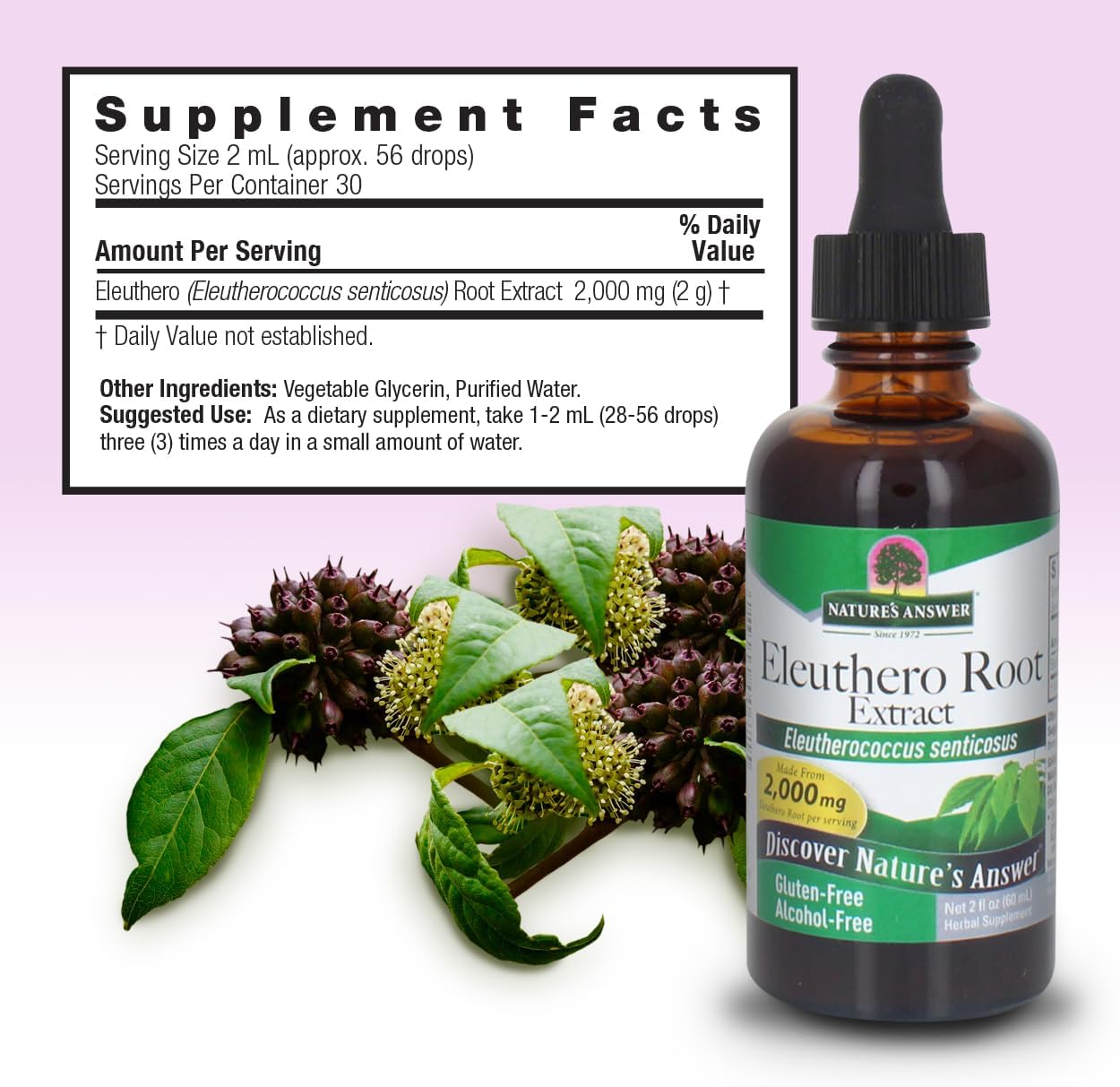 Nature’s Answer Eleuthero root liquid extract supplement facts 60ml bottle