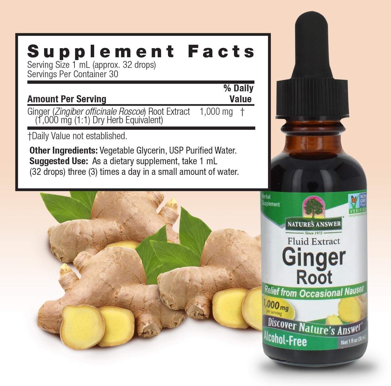 Nature's Answer Ginger Root Extract 30ml supplement facts and directions