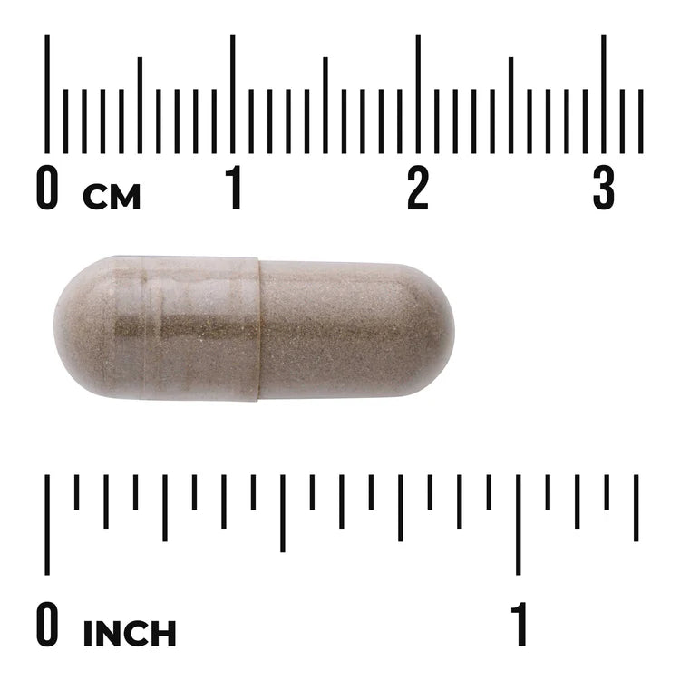 Swanson Chasteberry Supplement 400mg 120 Vegan Capsules Pack of 2 herbal supplement capsule bottle 60 capsule size