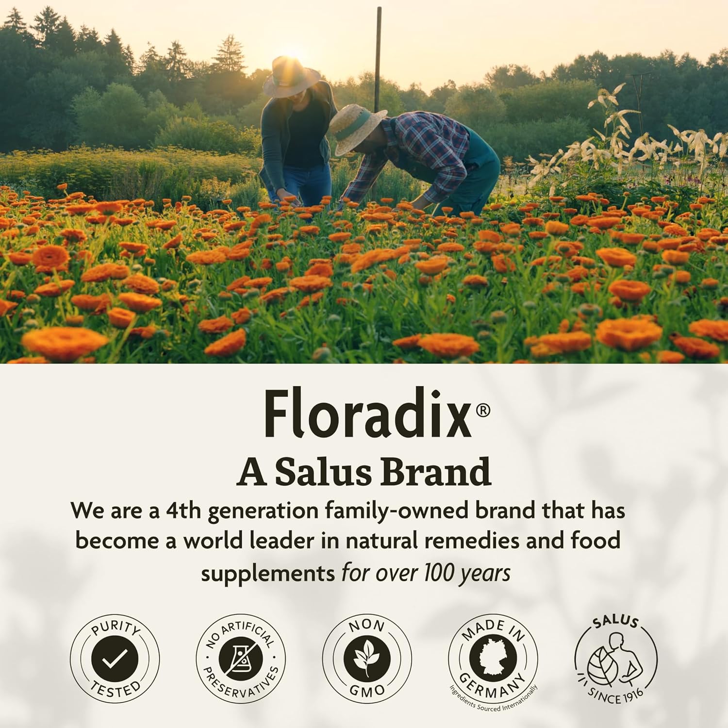Floradix Neuro Balance Ashwagandha Liquid Formula 250ml. A Salus brand