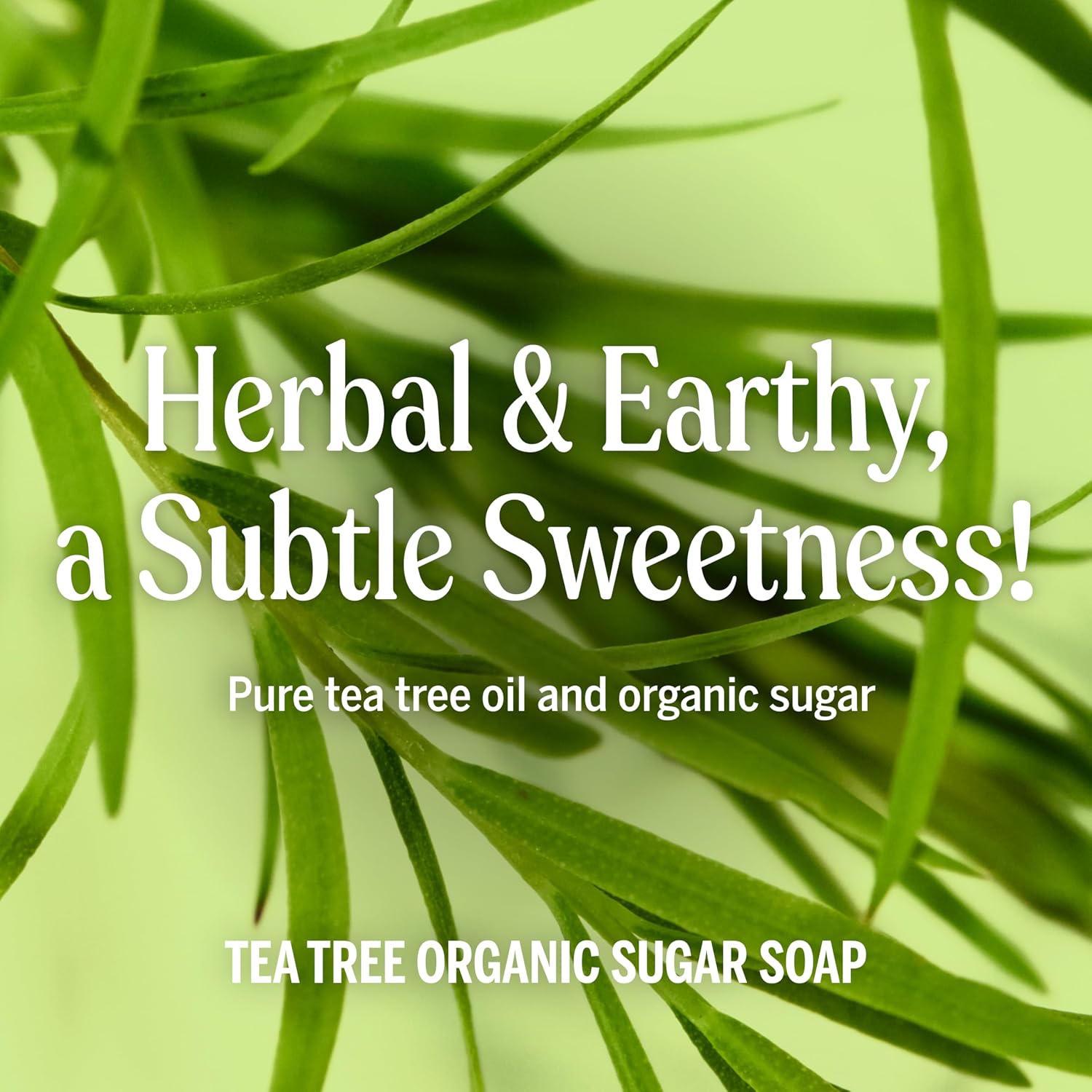 Dr. Bronner's Tea Tree 4-in-1 Organic Sugar Pump Soap 355ml pump bottle ingredients