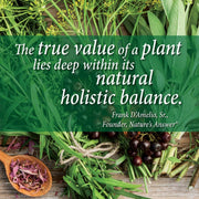 Nature’s Answer Dandelion Root Alcohol-Free Extract - 30ml