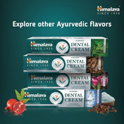 Himalaya Ayurvedic Dental Cream with Clove Oil, toothpaste tube packaging, clove flavour, 100g, daily oral care use & other variants
