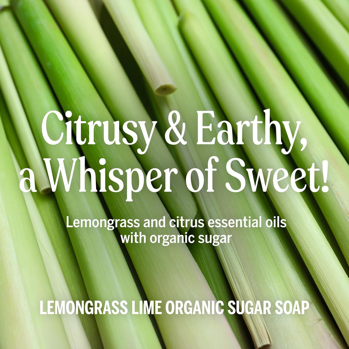 Dr. Bronner's Lemongrass Lime 4-in-1 Organic Sugar Pump Soap 355ml pump bottle ingredients