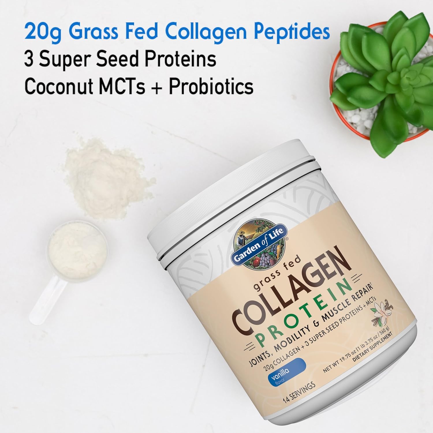 Garden of Life Grass Fed Collagen Protein Powder, Vanilla - 560g