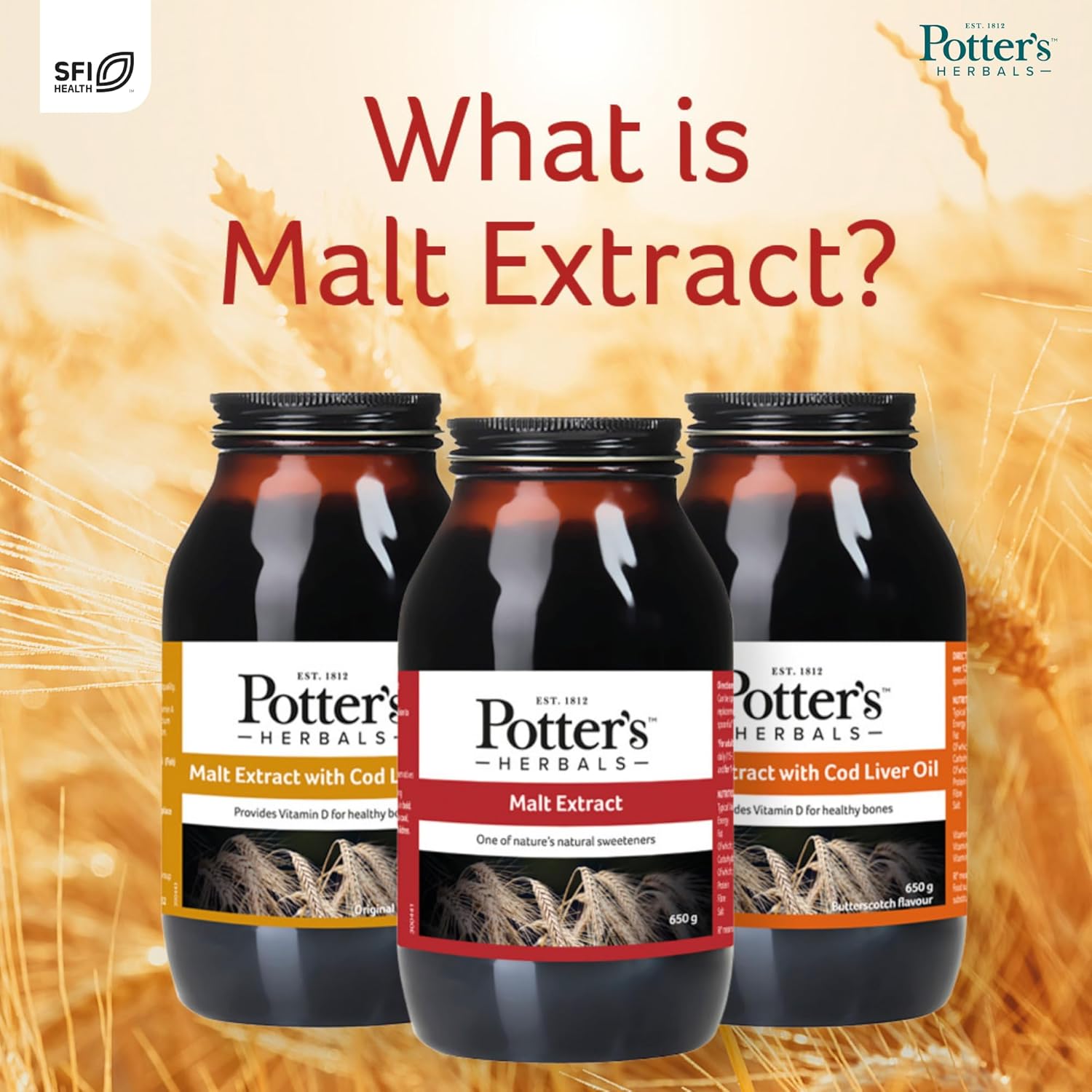 Potters Herbals Malt Extract Natural Sweetener - 650g & other variants