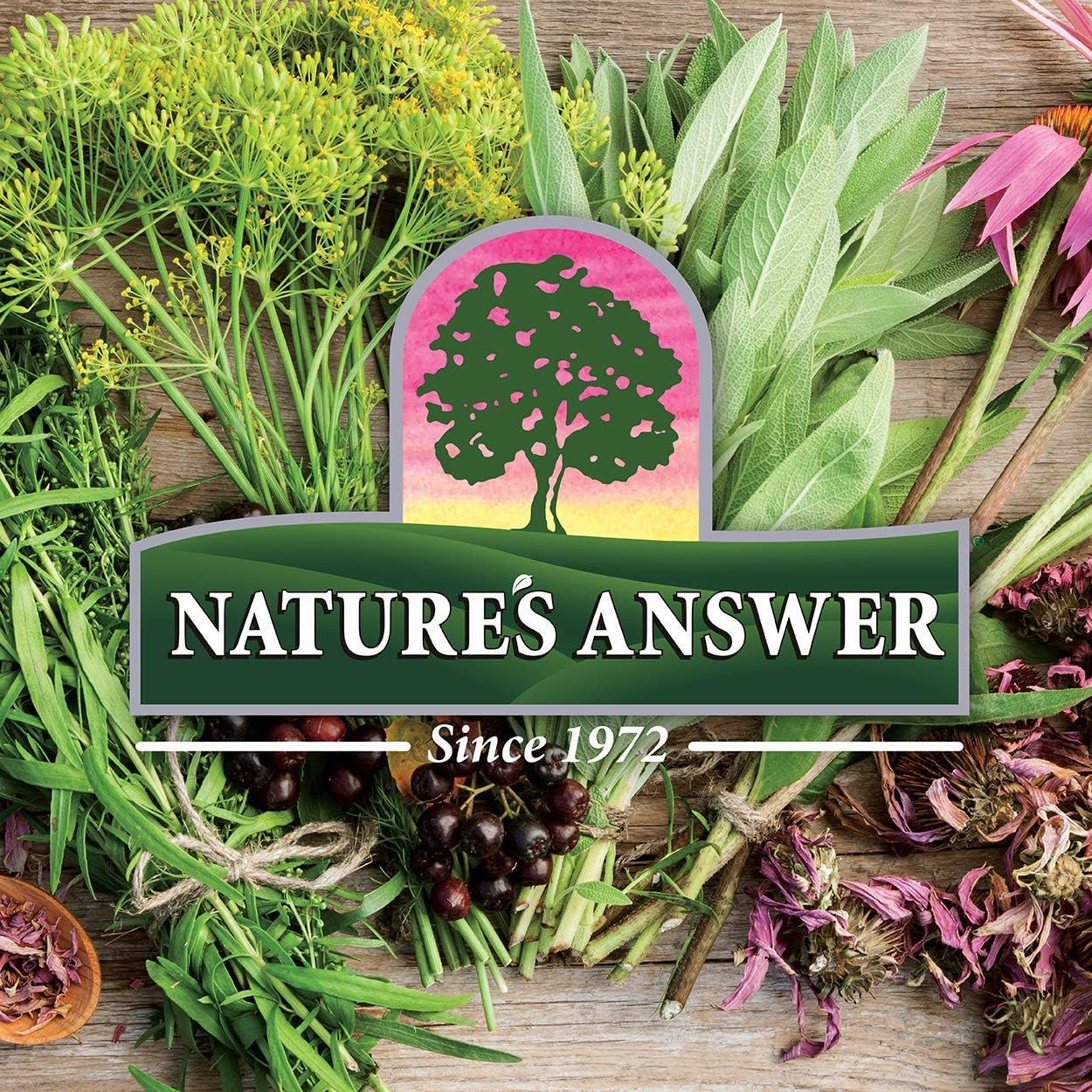 Nature’s Answer Mullein Leaf Herbal Oral Spray Peppermint 
