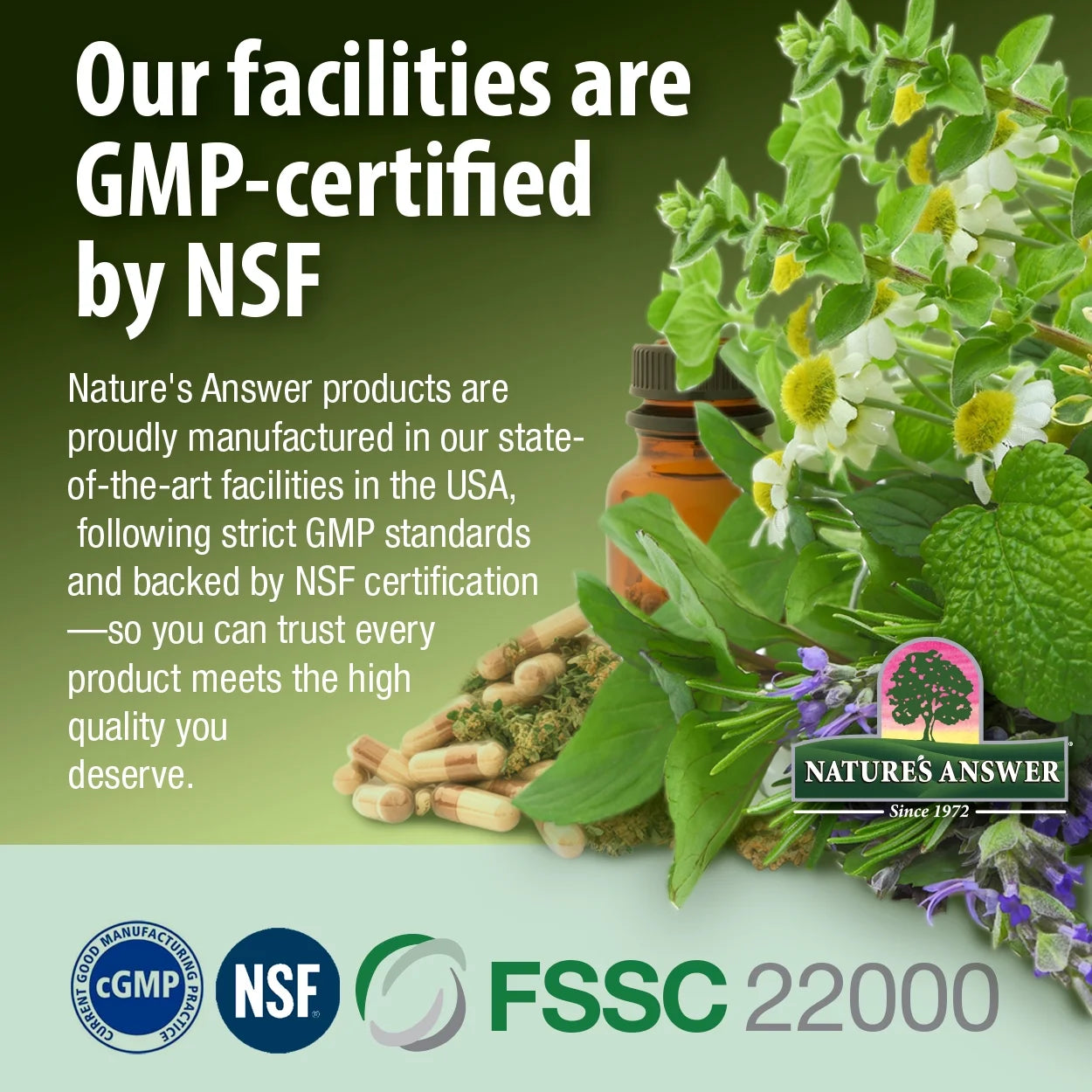 Nature's Answer Oil of Oregano Softgels
