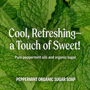 Dr. Bronner's Peppermint 4-in-1 Organic Sugar Pump Soap 355ml pump bottle ingredients