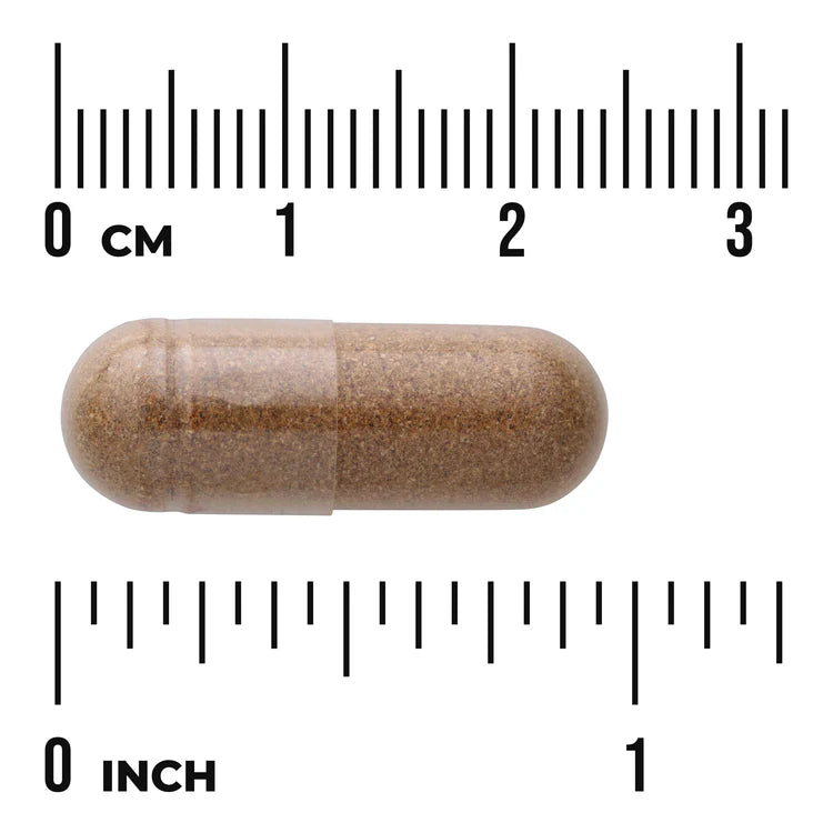 Swanson Cordyceps 120 Capsules Pack of 2