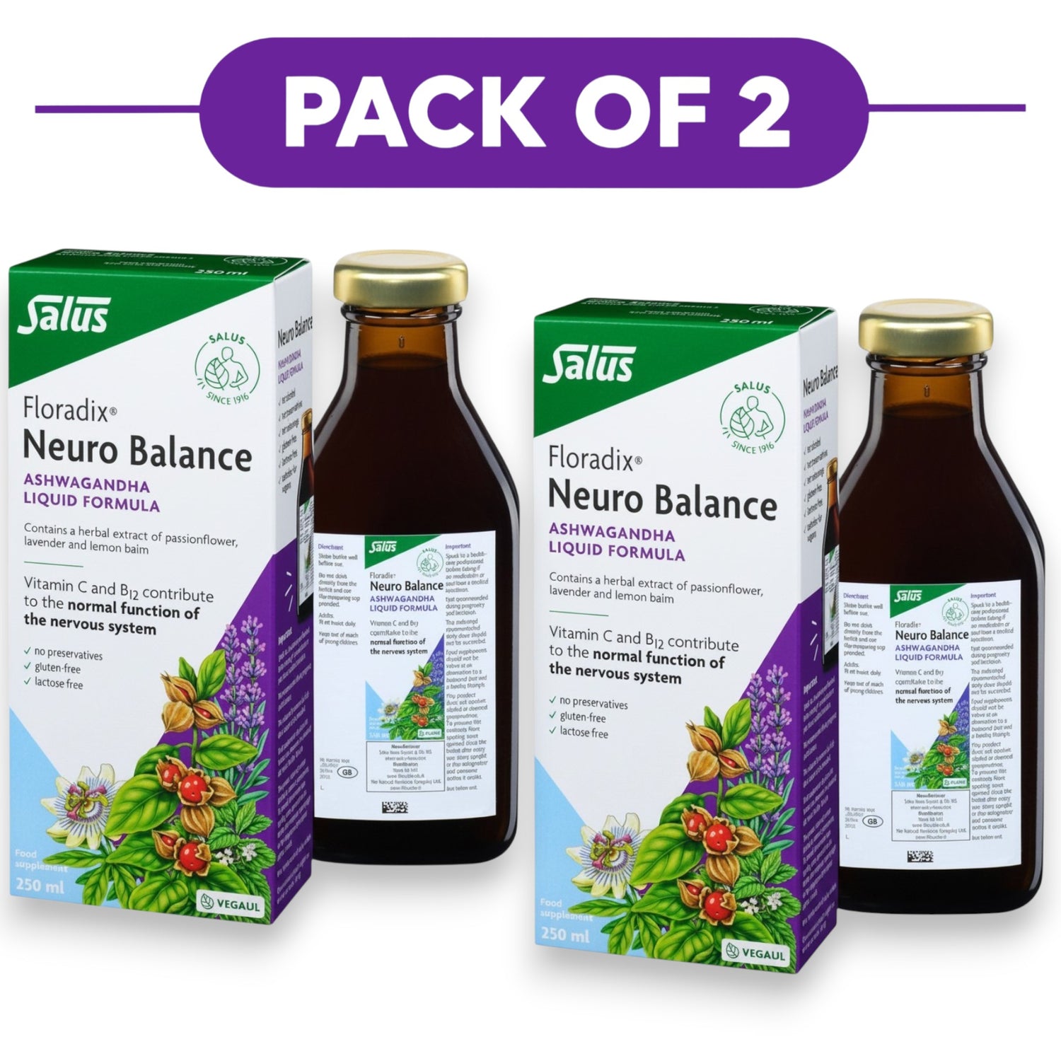 Floradix Neuro Balance Ashwagandha Liquid Formula 250ml Pack of 2