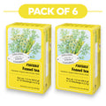 Floradix Bio Fenchel-Kräutertee – 15 Teebeutel, je 2,3 g
