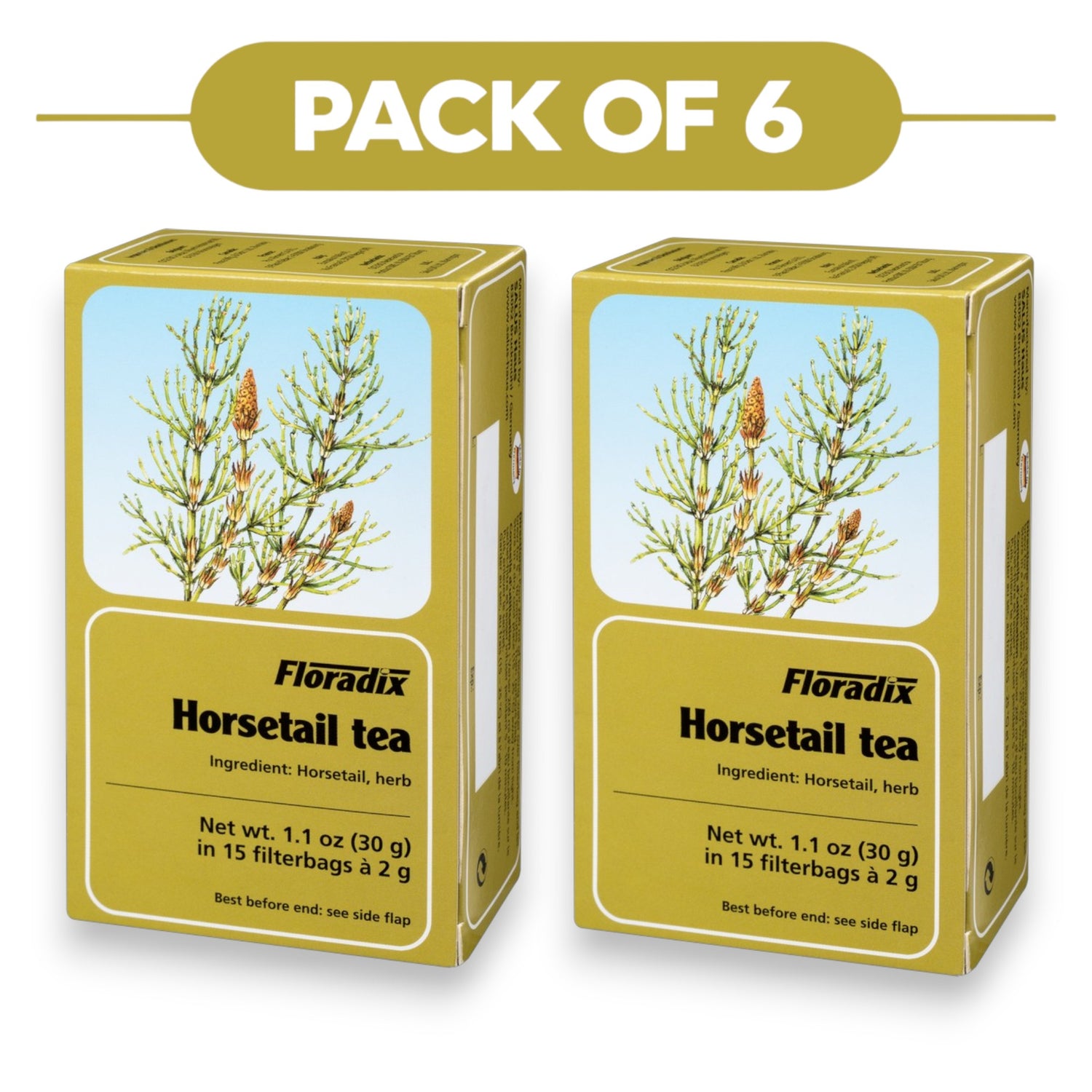 Floradix Organic Horsetail Tea 30g 15 Filterbags Pack of 6