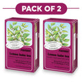 Floradix Bio Melissen-Kräutertee – 15 Teebeutel, je 1,6 g