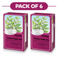 Floradix Bio Melissen-Kräutertee – 15 Teebeutel, je 1,6 g