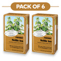Floradix Bio-Brennnessel-Kräutertee – 15 Teebeutel, je 1,3 g