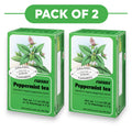 Floradix Bio-Pfefferminz-Kräutertee - 15 Teebeutel, je 2g