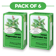 Floradix Organic Peppermint Tea 30g 15 Filterbags Pack of 6