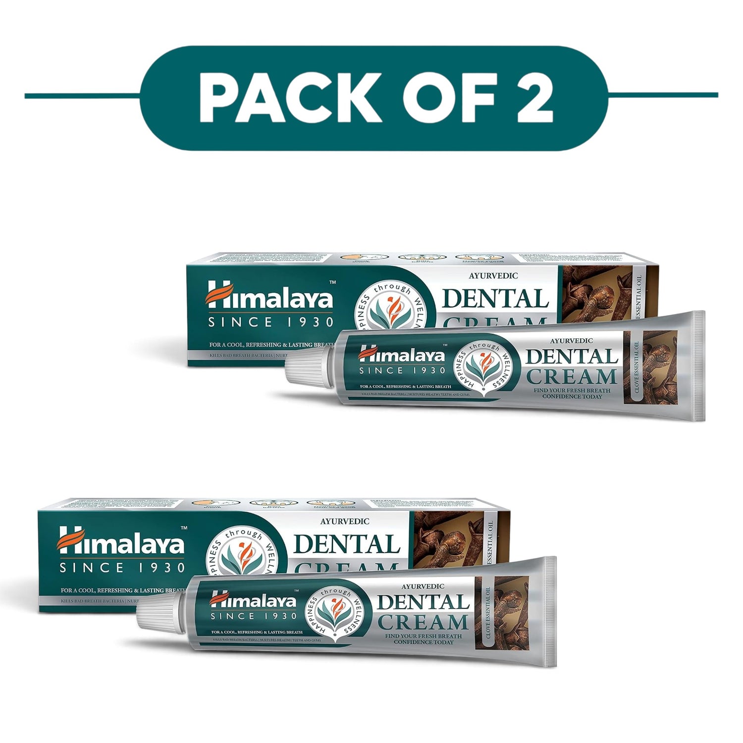Himalaya Ayurvedic Dental Cream with Clove Oil 100g Pack of 2