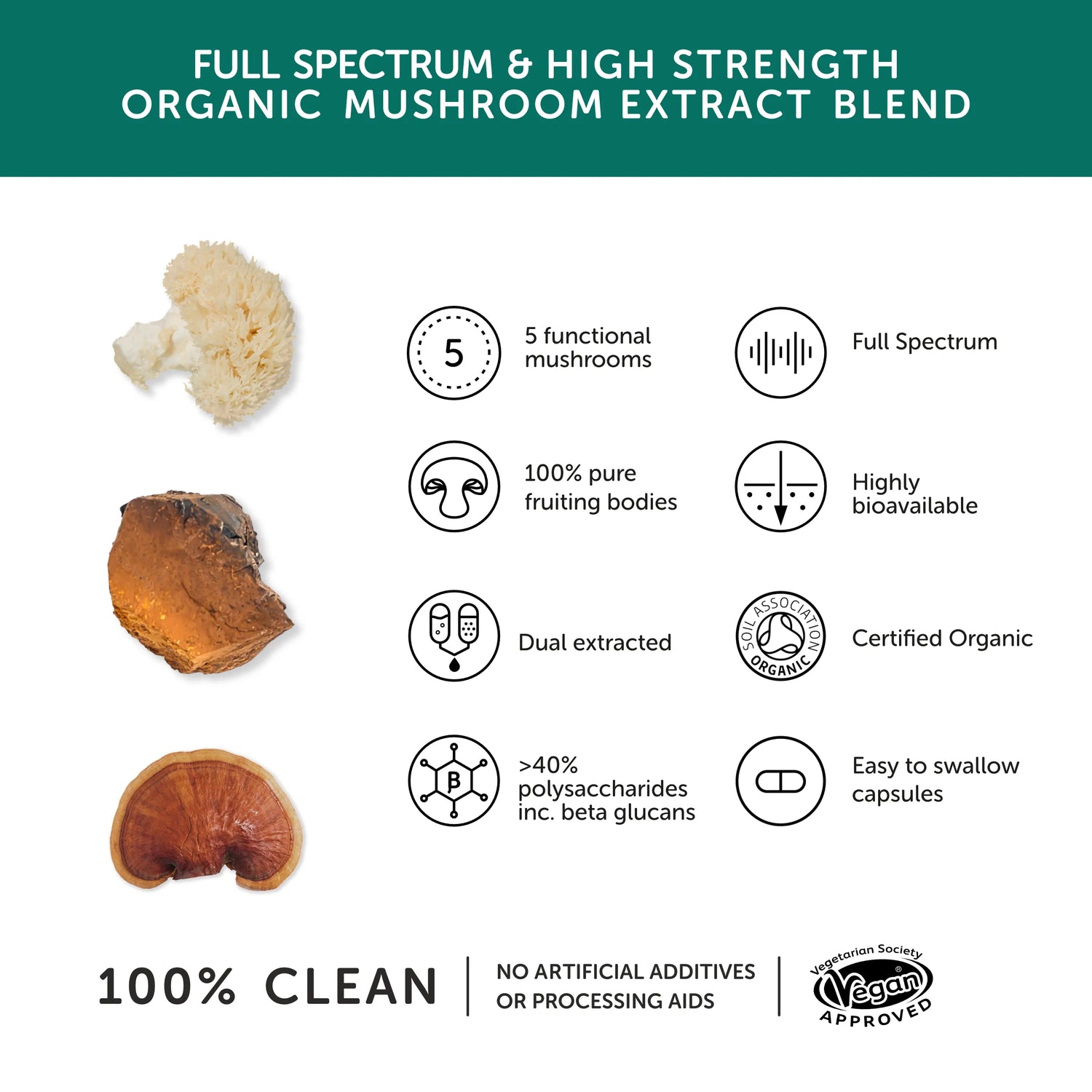 TOGETHER HEALTH MUSHROOM 5