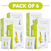 NutraTea Mullein Leaf & Thyme Herbal Tea 20 Tea Bags Pack of 6