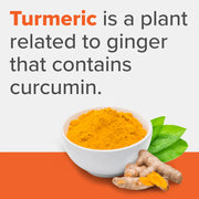 Qunol Liquid Turmeric Curcumin 1000mg Orange 600ml